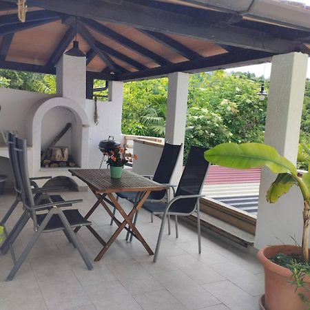 Apartma Salvia-Guest House Lucija Ngoại thất bức ảnh