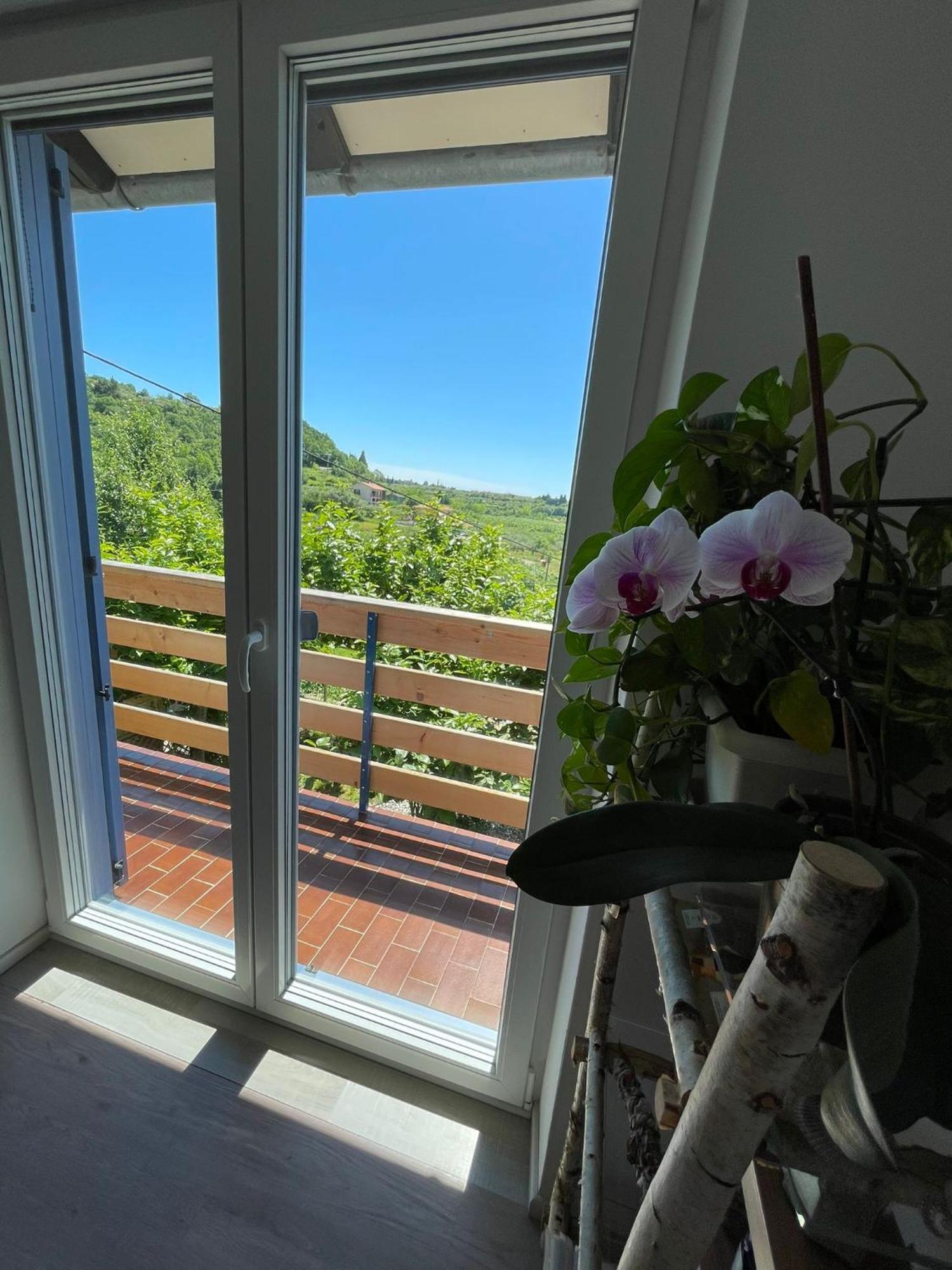 Apartma Salvia-Guest House Lucija Ngoại thất bức ảnh