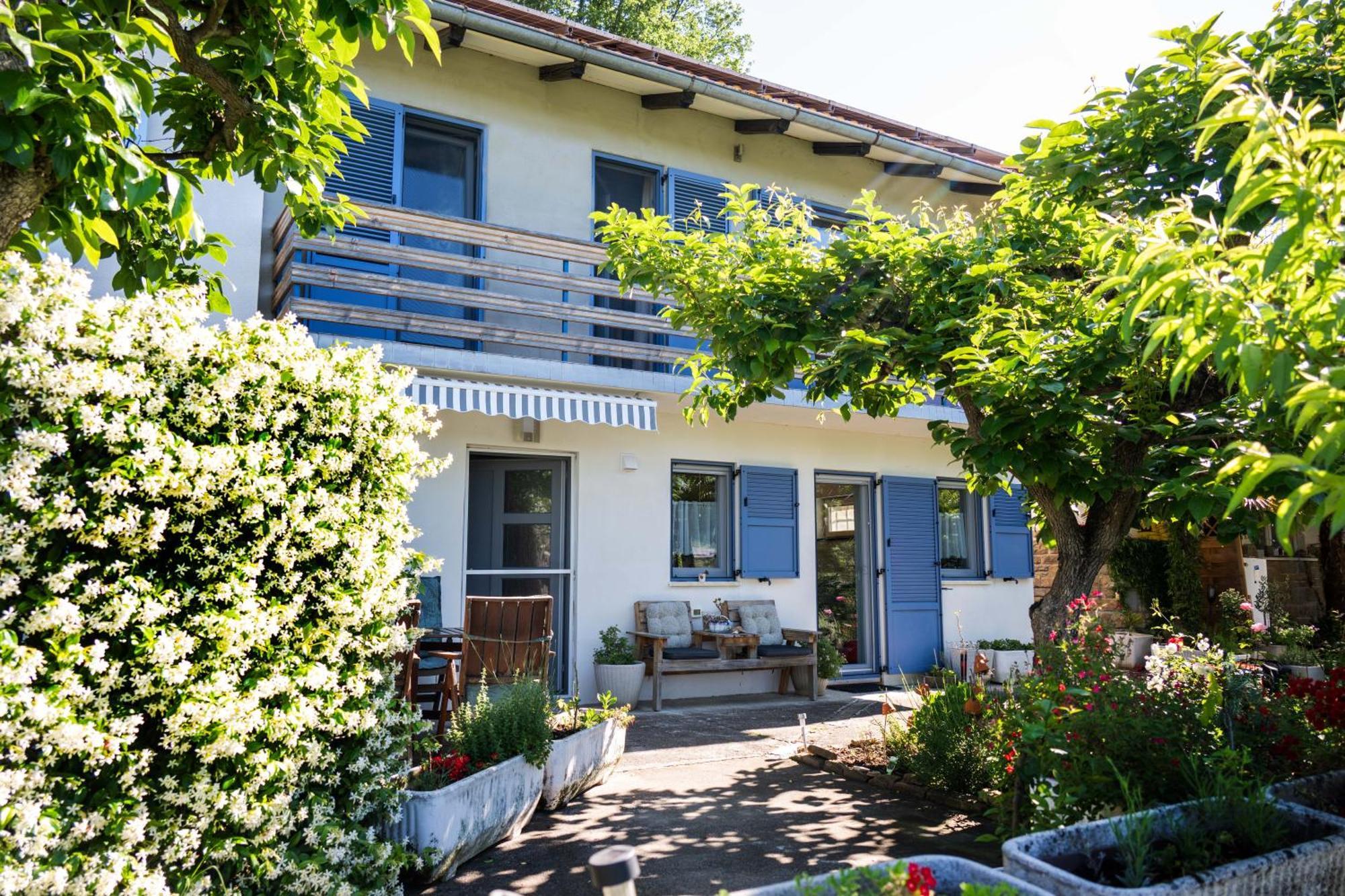 Apartma Salvia-Guest House Lucija Ngoại thất bức ảnh